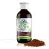 HENNA CATECHU Shampoo 300 ml
