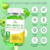 OALSE Sea Moss Gummies - 1800mg Irish Sea Moss +