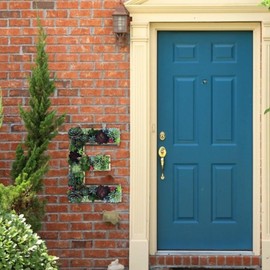 QUINTRA Decorative Wall Wooden Letters with Artificial Succulents Bryophytes Vertical Artificial Garden Pots Living Wall Art Flower Pots (E, One Size)