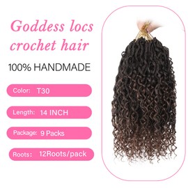 Sosihua Goddess locs crochet hair, 9 packs soft boho faux locs with curly ends bohemian crochet dreads for black women(14Inch,#T30)