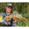LMAB KØFI Bleak Pintail 11 cm - No Action Shad