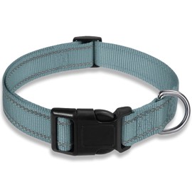 Reflective Dog Collar with Buckle Adjustable Safety Nylon Collars for Small Medium Large Dogs, Grey XS