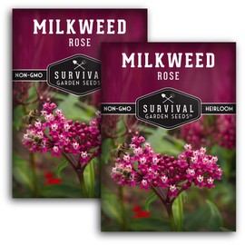 Rose Swamp Milkweed Seeds for Planting - 2 Packs with Instructions to Grow Asclepias Incarnata Wildflowers - Attract Monarch Butterflies - Non-GMO Heirloom Variety - Survival Garden Seeds