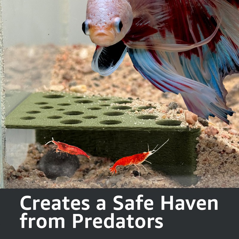 CTWPets Half Shrimp Breeding Protector | Shrimp Breeding Cave Aquarium