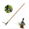 Ofakouss Weeder - Stand Up Weeder and Weed Puller ，Metal