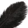 THARAHT Black Ostrich Feathers 12pcs Large Natural Bulk 16-18Inch 40cm-45cm