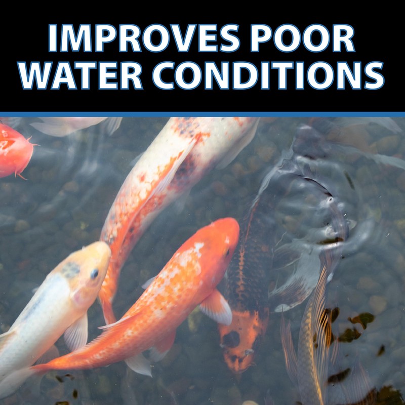 CrystalClear OneFix Beneficial Bio Clarifier Treatment for Clear Water Gardens,