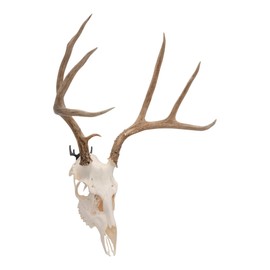 Allen Company Steel Trophy Wall Hook, 1/8" Thick, Works with Deer Skulls, Hats, Coats, & Gear, 2-Hooks Per Pack, Black