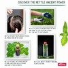 Nettle Shampoo – Helps Regulate Sebum Production, Reduce Dandruff &