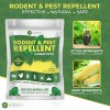 ADDOT Natural Peppermint Oil Mouse Repellent – 10-Pack, 40g Each