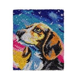 GLAECYY Latch Hook Rug Kits for Adults DIY Crochet Carpet Yarn Kit with Starry Sky Dog Patterns Pre-Printed Canvas Rug Hooking Kits Creative Craft Home Decor 20.5''x15''