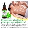 Aceite Romero Crecimiento Capilar Pestañas Cejas Stock Caída de 30mL