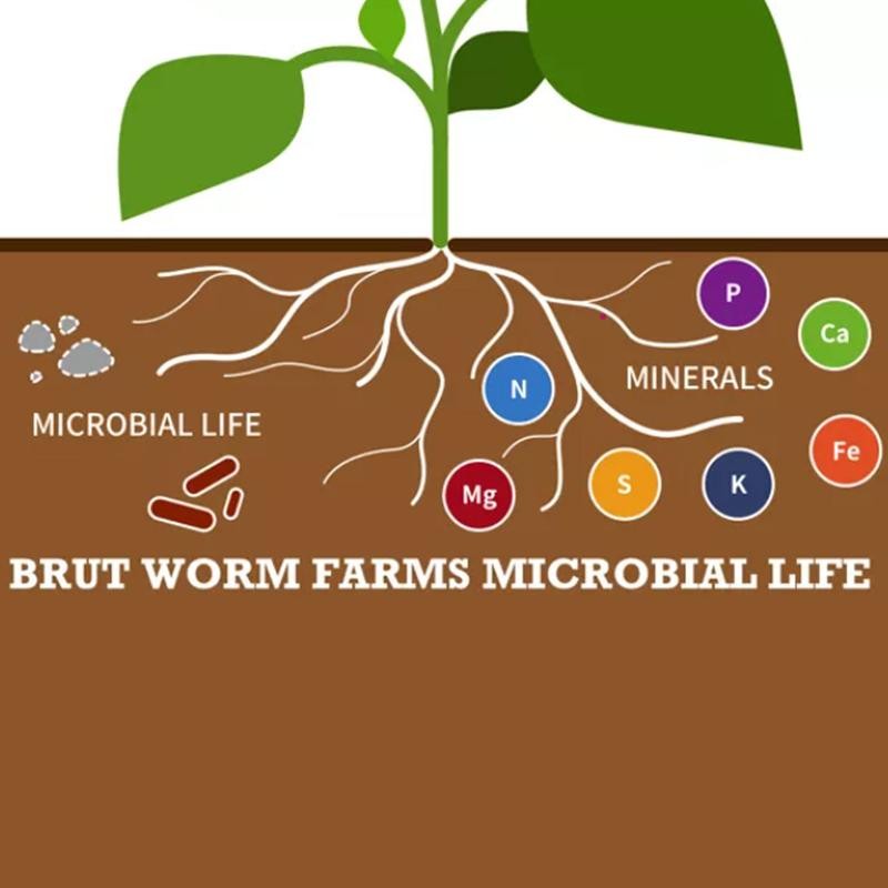 Brut Worm Farm All Natural Organic Worm Castings Soil Builder,