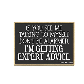 Honey Dew Gifts, If You See Me Talking to Myself I'm Getting Expert Advice, 2.5 Inch by 3.5 Inch, Made in USA, Refrigerator Magnets, Decorative Fridge Magnets, 754030
