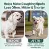 Collapsed Trachea Treatment for Dogs, Trachea Cough Elixir, Dog Cough