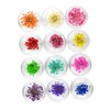 Healvian 2pcs Colors Real Dried Flowers Nail Art Stickers Flower