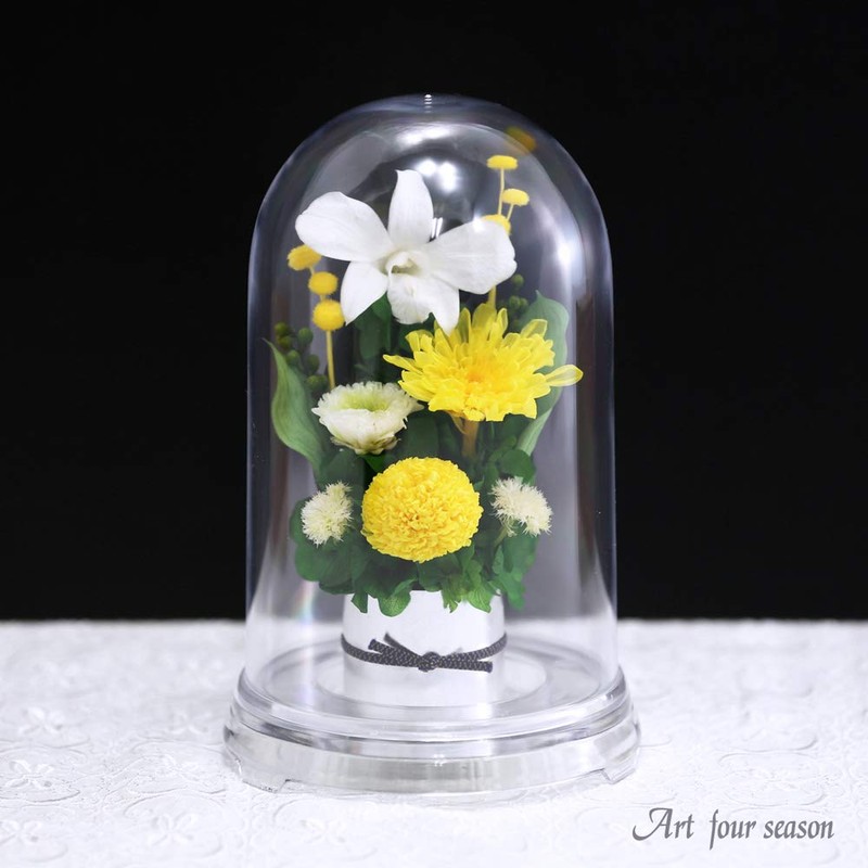 Art Four Seasons ● Offering Mom Dome Preserved Flower (Yellow)