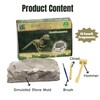 Dino Excavation Set, Dino Excavation Set Children, Kit Excavation Set