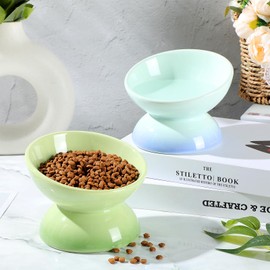 Hushee 2 Pcs Elevated Cat Food Bowl Ceramic 15 Degree Raised Cat Bowl 4 oz Slanted Cat Food Dish Tilted Cat Water Bowl Anti Vomiting for Kitten Small Dogs Pet, Dishwasher Microwave Safe(Blue, Green)