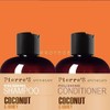 Pierres Apothecary PA Coconut and Honey Polishing Shampoo 16 oz