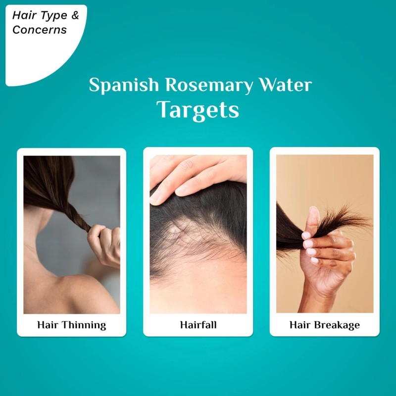 Pilgrim Spanish Rosemary Water Spray 100ml
