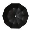Thitex Travel Umbrella Windproof Auto Open and Close Folding Umbrella