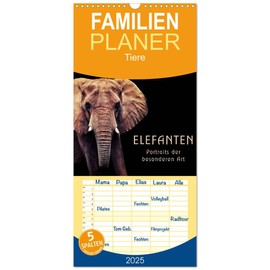 Familienplaner 2025 - Elefanten - Portraits der besonderen Art mit 5 Spalten (Wandkalender, 21 cm x 45 cm), CALVENDO