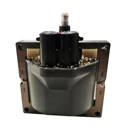 GM Genuine Parts 19418995 Ignition Coil Kit