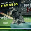 FitPAWS Made to Move No-Pull Harness | Adjustable Fit |