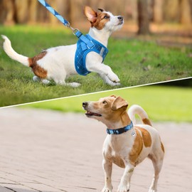 SCENEREAL Dog Harness Collar and Leash Set, Step-in No Pull Pet Vest Harnesses for Small Medium Dogs Puppy Cats, Soft Mesh No-Chock Reflective Vest Harness for Outdoor Walking Running, Blue Plaid S
