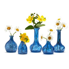 Two's Company Azul Artisan Hand-Blown Decorative Glass Bottles, Vintage Style Colorful Vases, Home Accent Bohemian Decor, Elegant Table Centerpieces - Set of 5