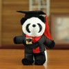 Acewen 1 Piece Class of 2025 Graduation Panda Keychains Graduate