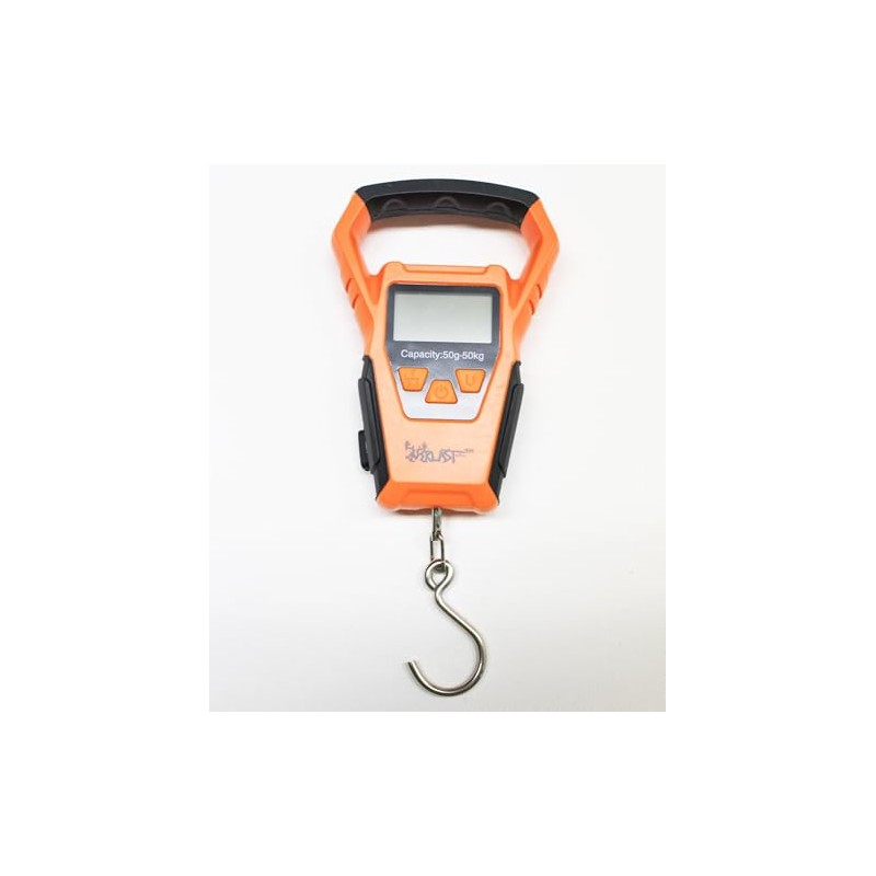 LastMemory Foreverlast G2 Scale Combo