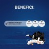 FELIX Play Tubes Snack per Gatti Adulti con Pesce e