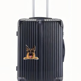 Car Sticker 22 cm (8.7 Inch) Belgian Malinois Sticker 3D Torn Reflective Car Sticker Belgian Shepherd Pet Dog Waterproof Sticker Bumper Rear Window Decor Sticker