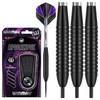 WINMAU Apocalypse 24 gram brass darts set with flights and