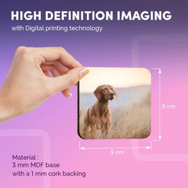 Destination Vinyl ltd Great Coasters (Set of 4) Square - Hungarian Pointer Vizsla Dog Drink Glossy Coasters/Tabletop Protection for Any Table Type #12566