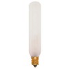 Satco - S3315 - Light Bulb - Frost