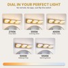 TimberAura Bathroom Vanity Light, 3-Light 24 Inch Brushed Gold 5CCT