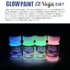 LTI GLOW PAINT α-Vega Glow in the Dark Paint LAGP-NC20