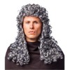 ORLOB KARNEVAL GmbH Curly Wig Judge Gray Nobleman Lord Nobleman