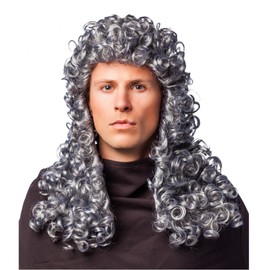 ORLOB KARNEVAL GmbH Curly Wig Judge Gray Nobleman Lord Nobleman Baroque Medieval Carnival
