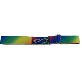 Mazeys Retro Unisex 70s Elastic Snake Belts (Rainbow Multi)