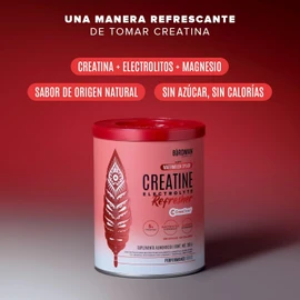 Birdman Creatine Electrolyte Refresher | Creatina Monohidratada con Electrolitos Esenciales, Glicinato de Magnesio y Vitaminas | Sin Azúcar, Sin Calorías | Watermelon Splash | 30 Porciones | 300g