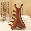 Lymph Contour Face Brush Set Sandalwood Gua Sha Massager Ergonomic