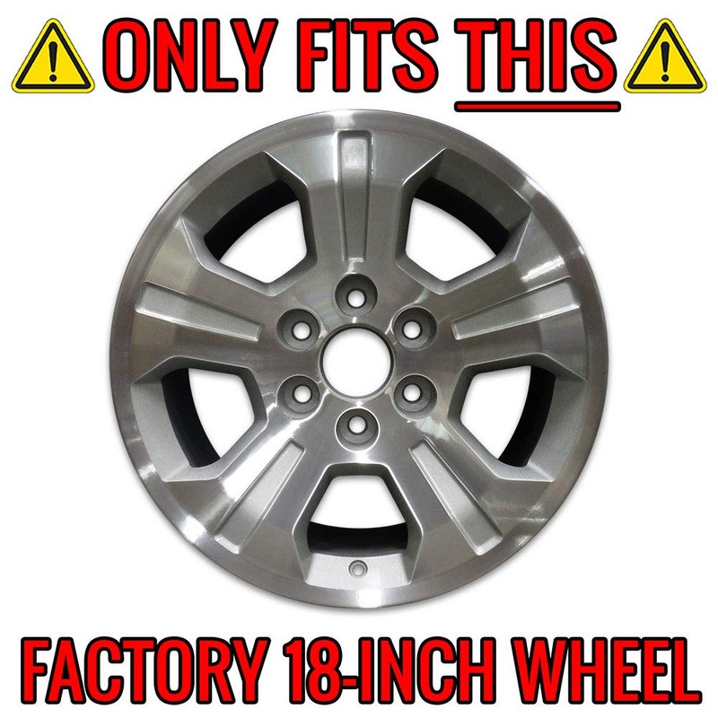 Auto Reflections Set of 4 18" 5 Spoke Wheel Skins