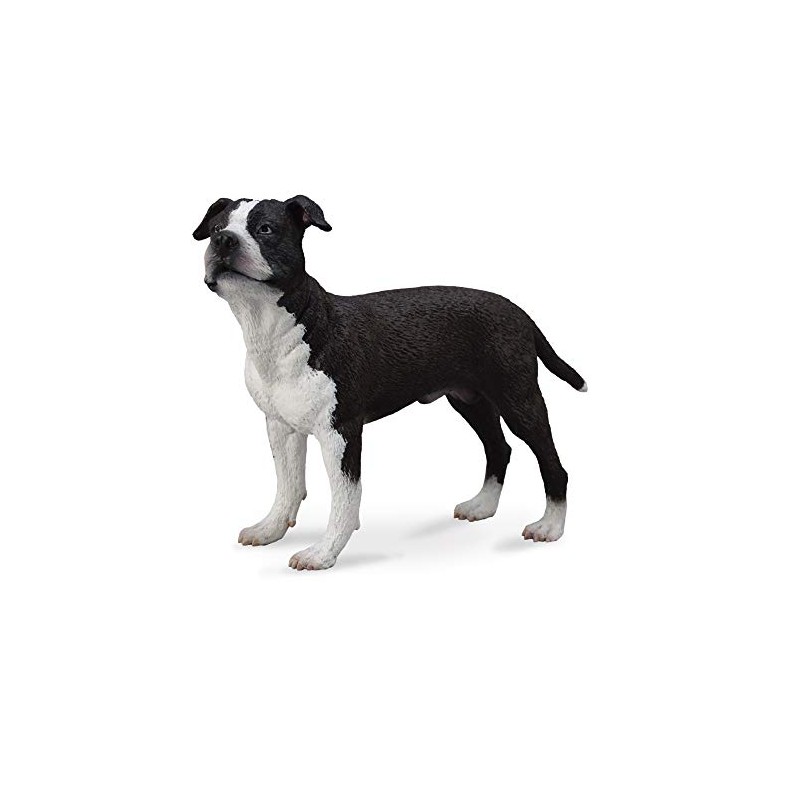 CollectA American Staffordshire Terrier