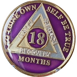 18 Month AA Medallion Purple Tri-Plate Sobriety Chip Serenity Prayer Back