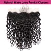 Nicewig 13x4 Transparent HD Lace Frontal Closure Human Hair Water