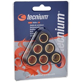 Vicma variator weights Maxi Scooter 19x17 – 10.00g – set of 6 pcs